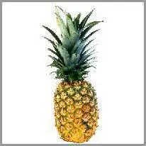 pineapple