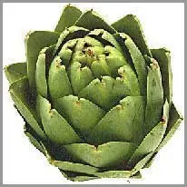 artichoke