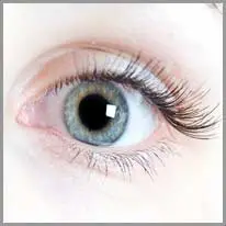 eye