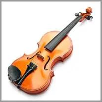 violin