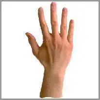 ei hand