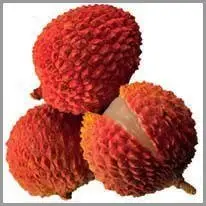 litchi