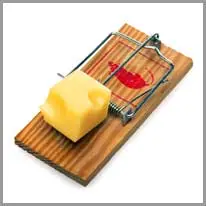 mouse trap