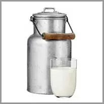 milk jug