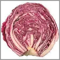 red cabbage