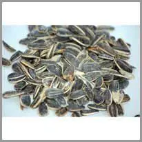 sunflower seeds