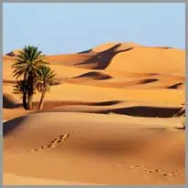 o deserto